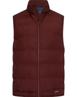 Cavallaro Bodywarmer Cevigio