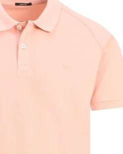 Denham Brian Polo
