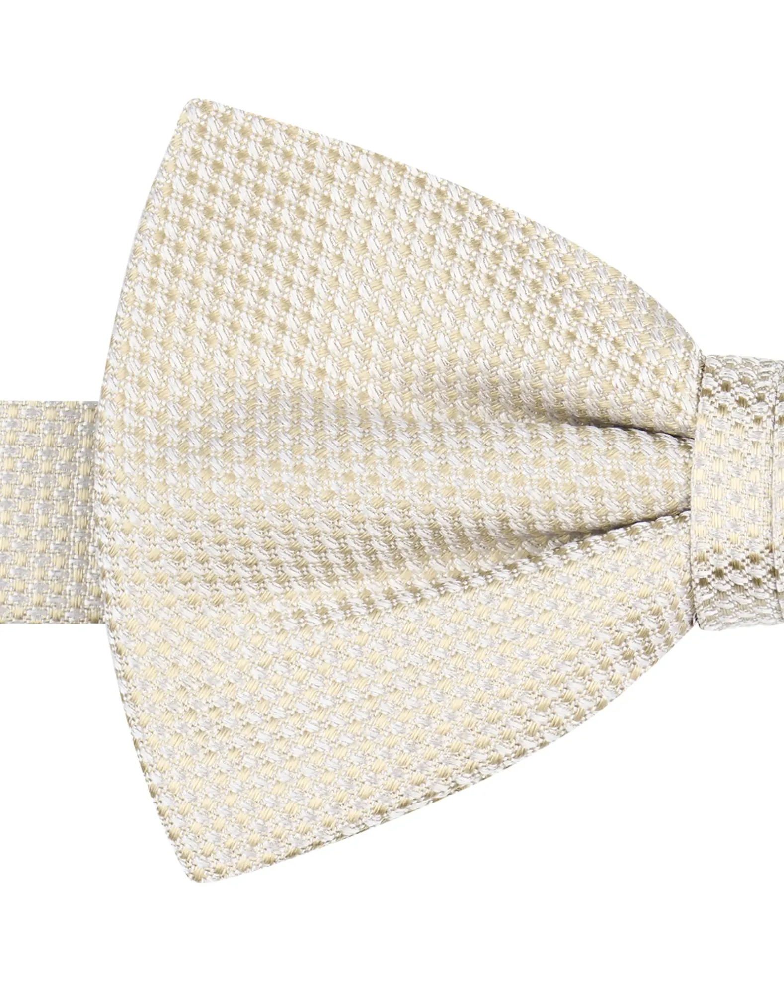 Profuomo Strik