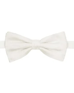 Profuomo Strik