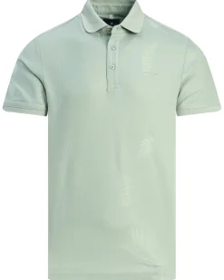 State of Art Polo