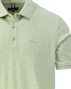 State of Art Polo